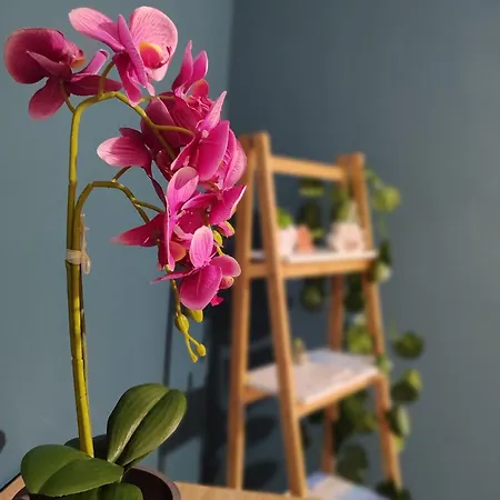 Nyaraló Ultreya - Free Street Parking *